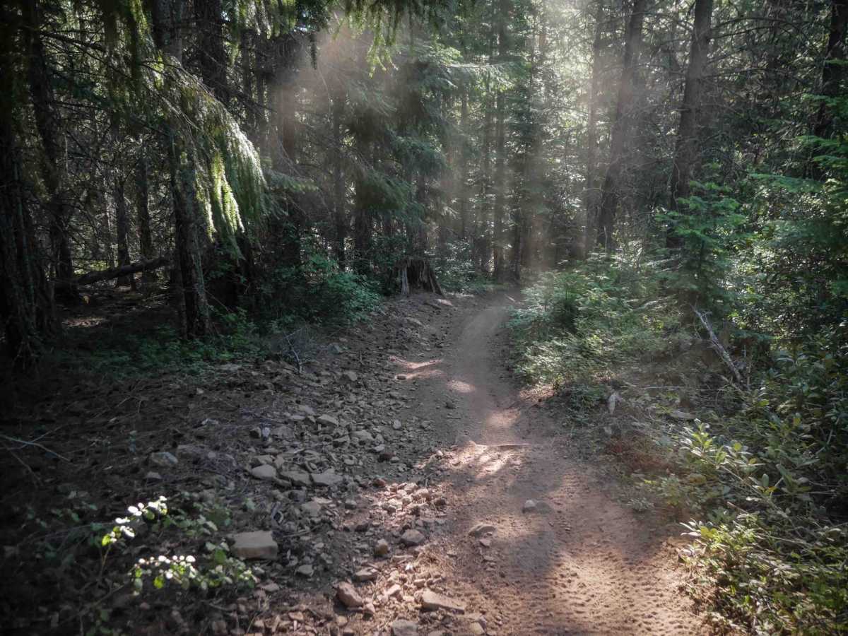 577A trail photo