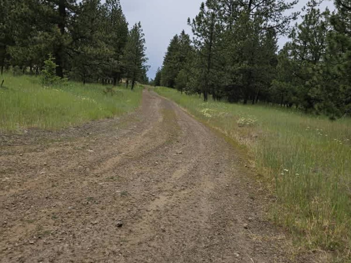 Iron Springs trail photo