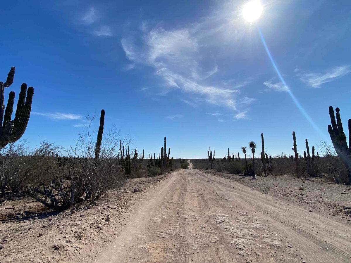 Dos Ranchos Road photo 5