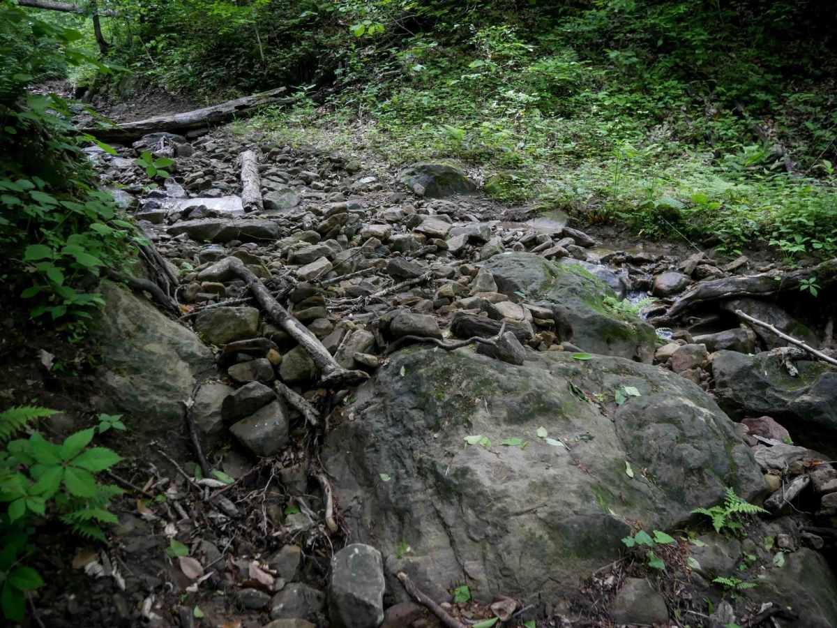 B71 photo 5