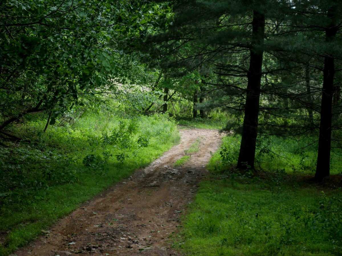 RV23 photo 4