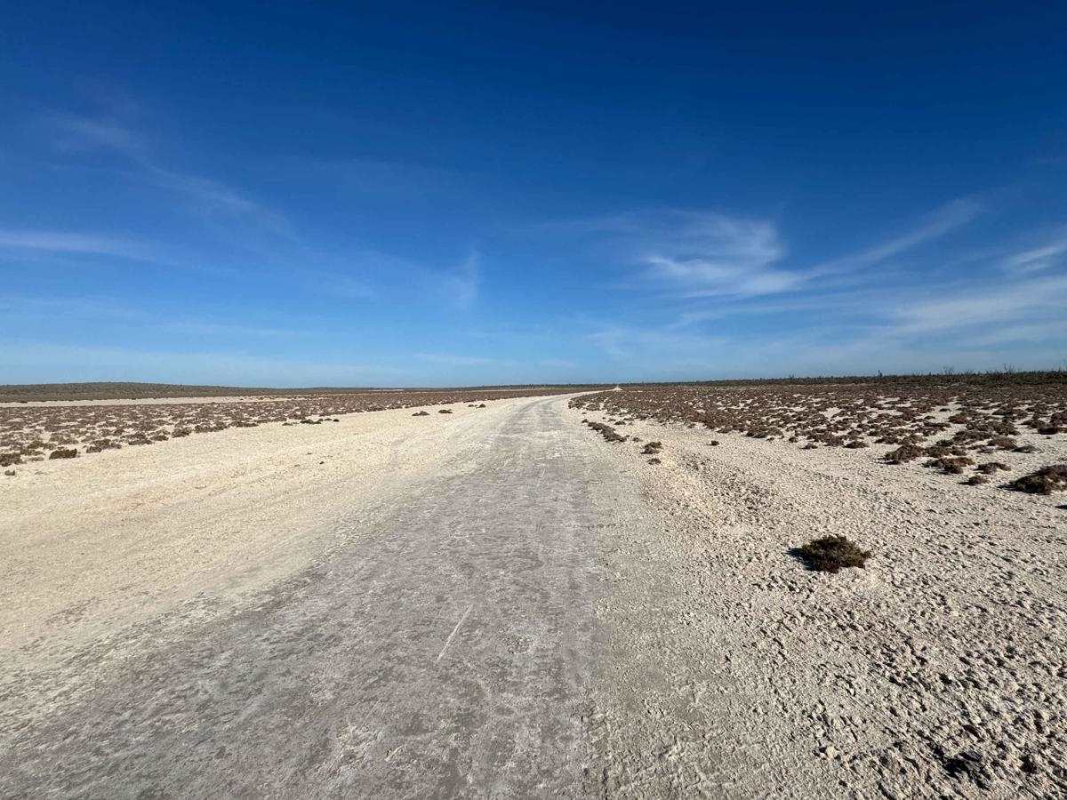 Salt Flats trail photo
