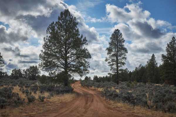 Old 335 Road