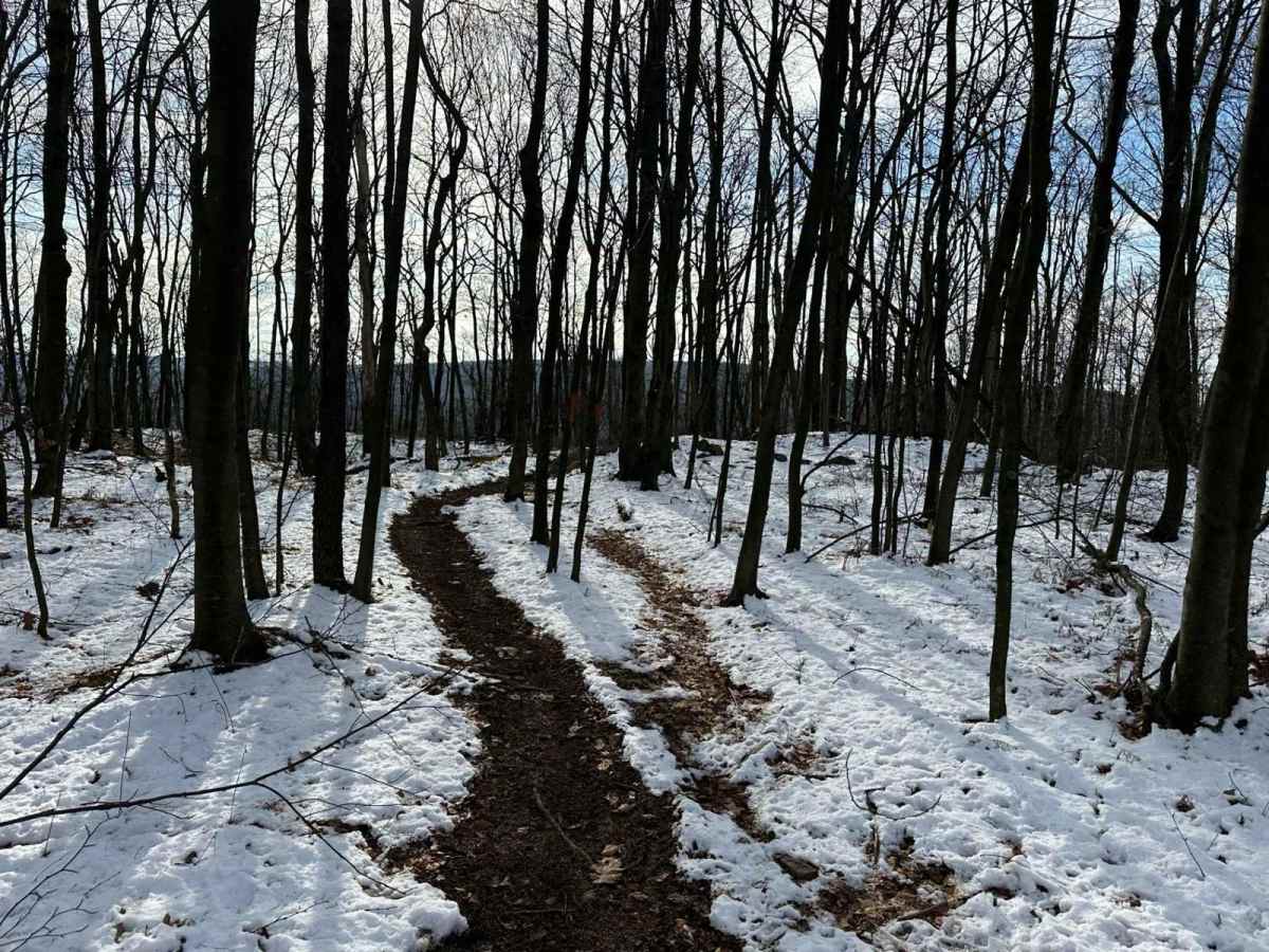 St. Keirns Single Track 7 photo 3