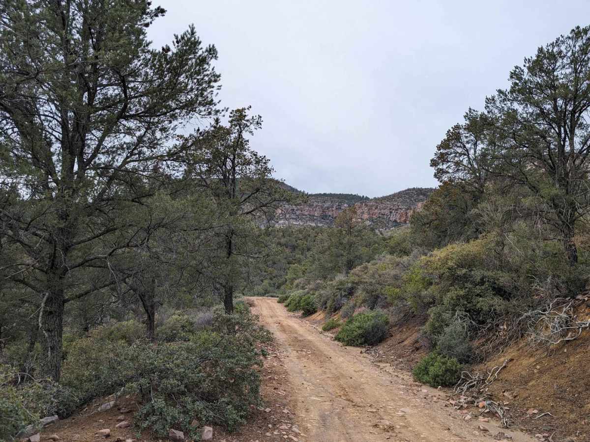 Cherry Creek Road photo 4
