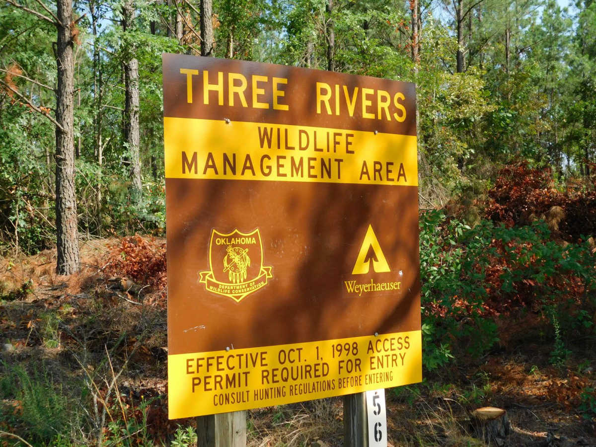 Arkansas Crossing NFS SEOK trail photo