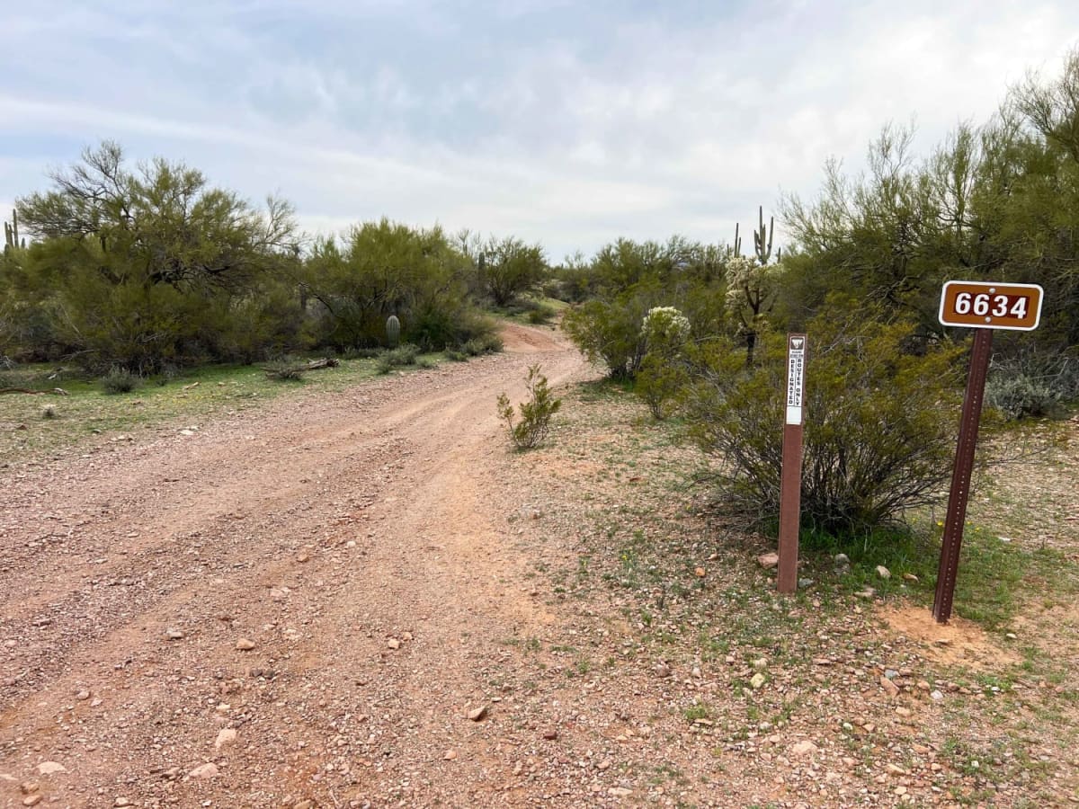 North Waterman Mountain Trail photo 4