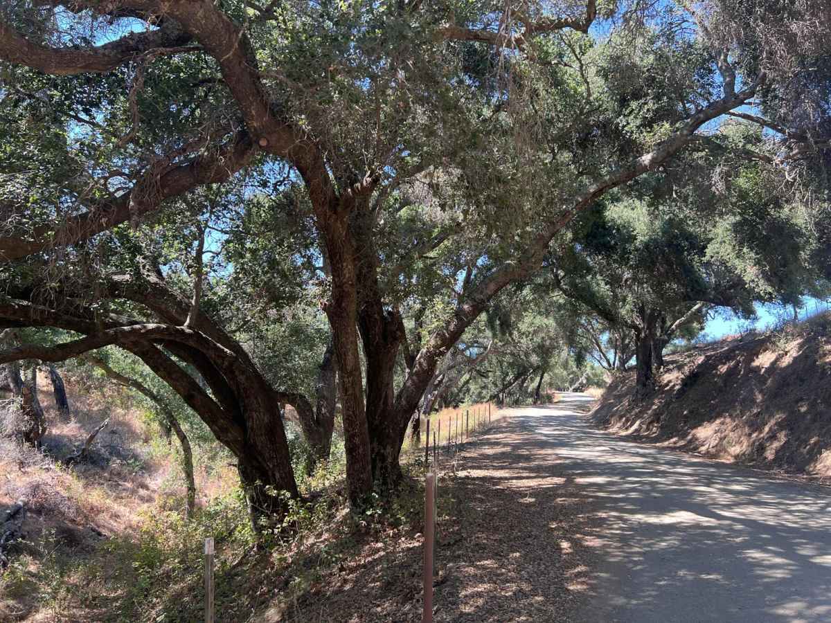 Hi Mountain Road photo 3