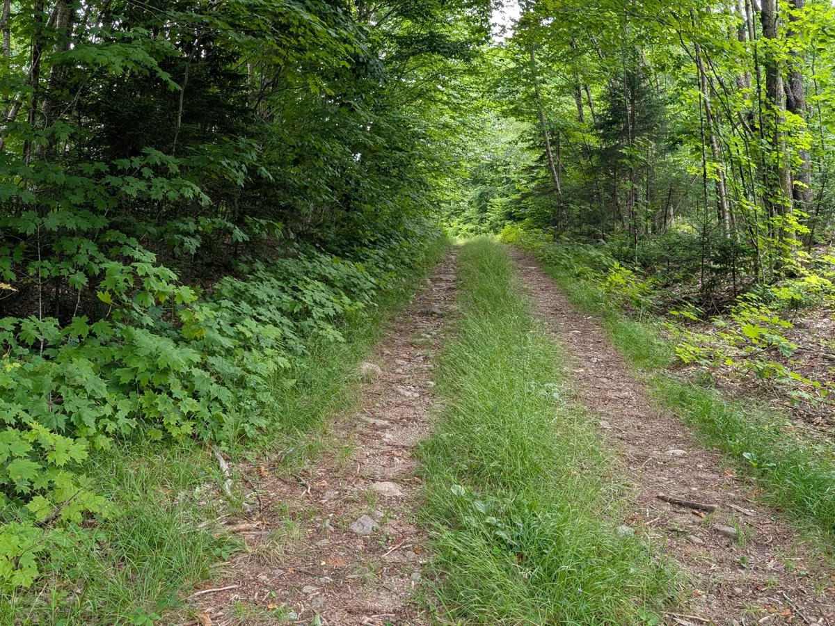 A-Frame Road photo 6