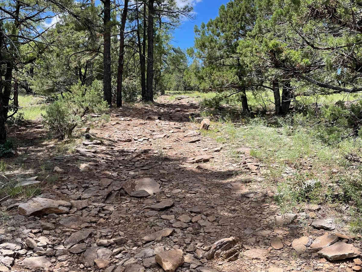 Committee Tank Trail photo 3