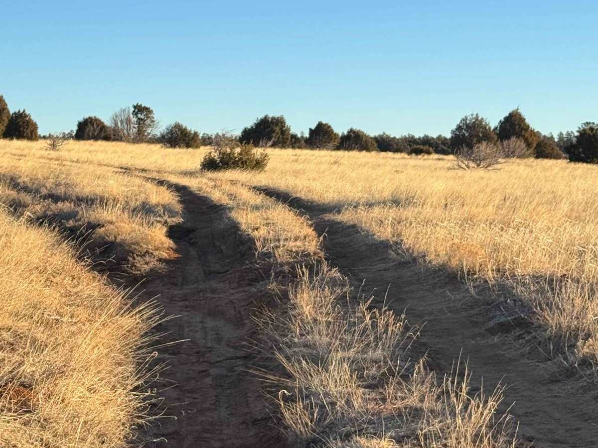 Cattle Run Pass photo 3