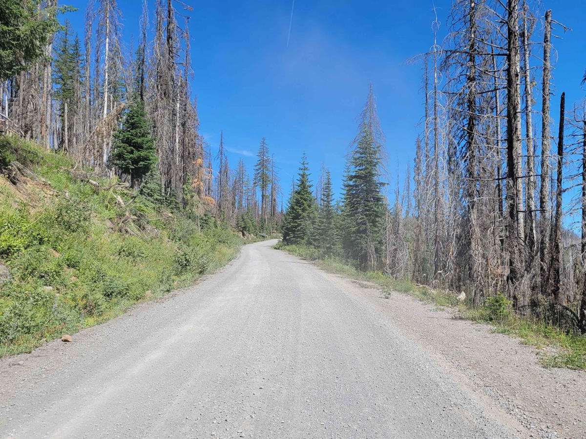 FR 6350 - Grahams Pass photo 5