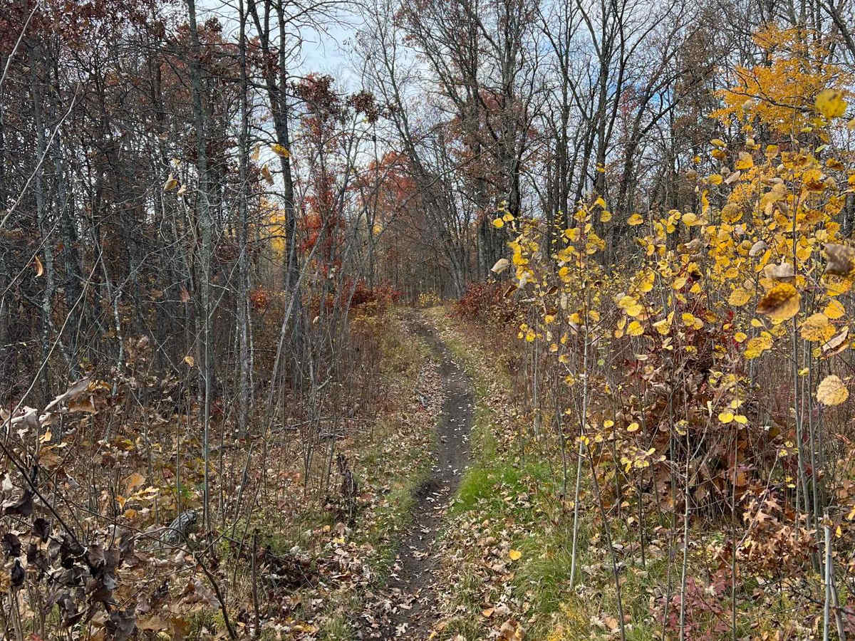 Scenic River Overlook Single Track photo 6