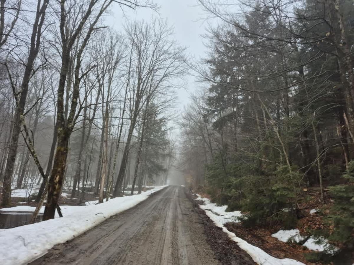 Jerseyfield Road photo 5