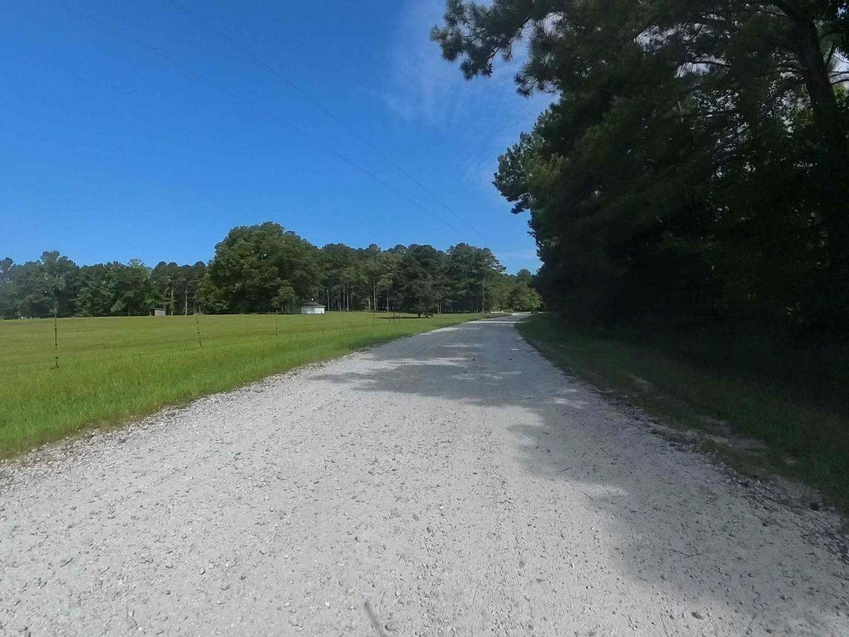 Bishop Road trail photo