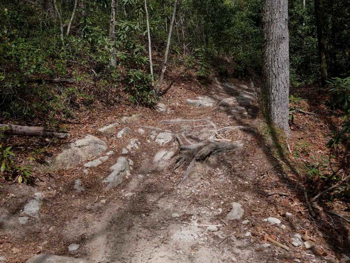 Trail 10 photo 2