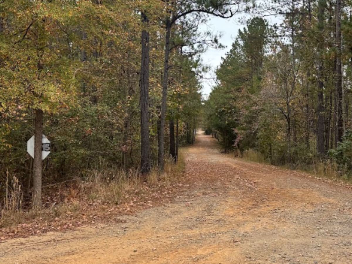 15 trail photo