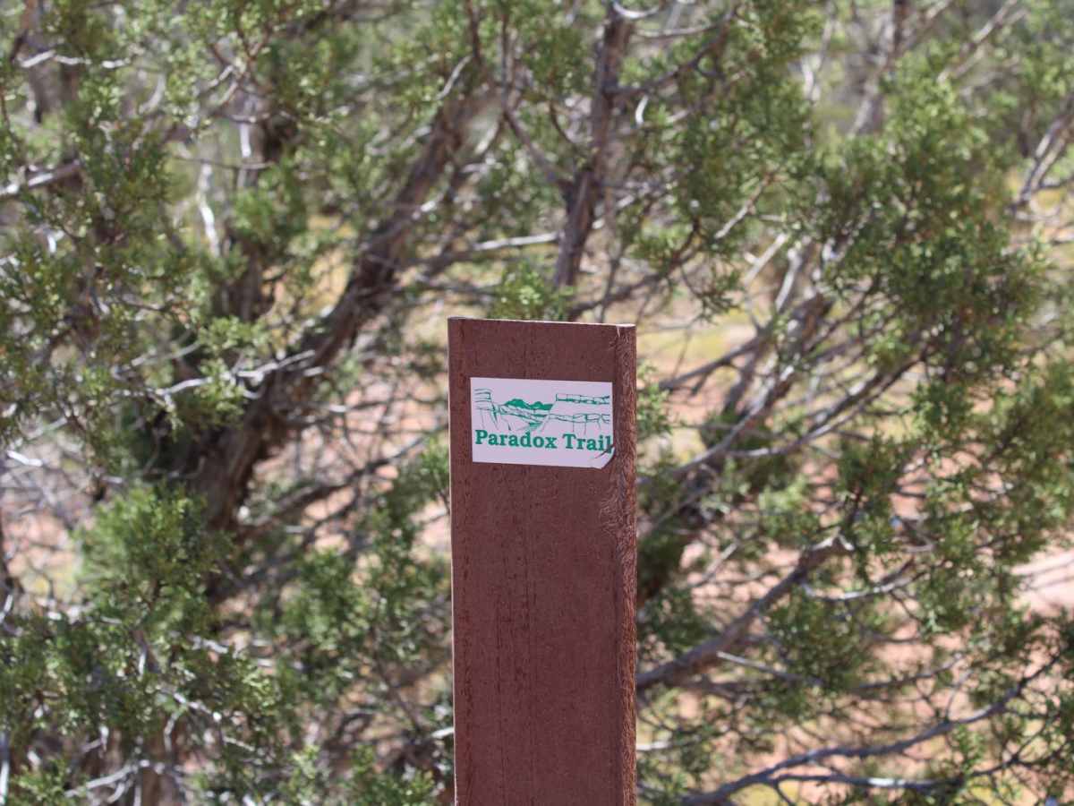 Red Canyon Paradox Trail photo 2