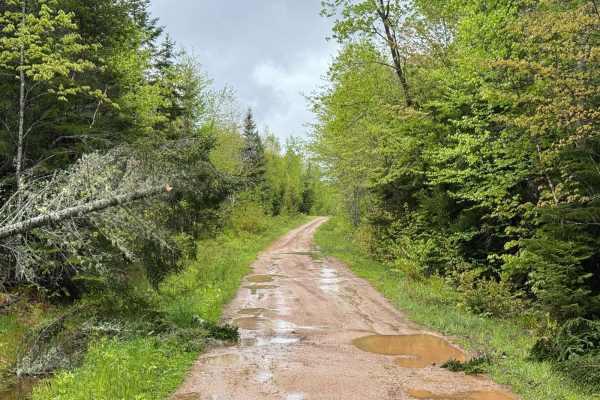 Sweet Road