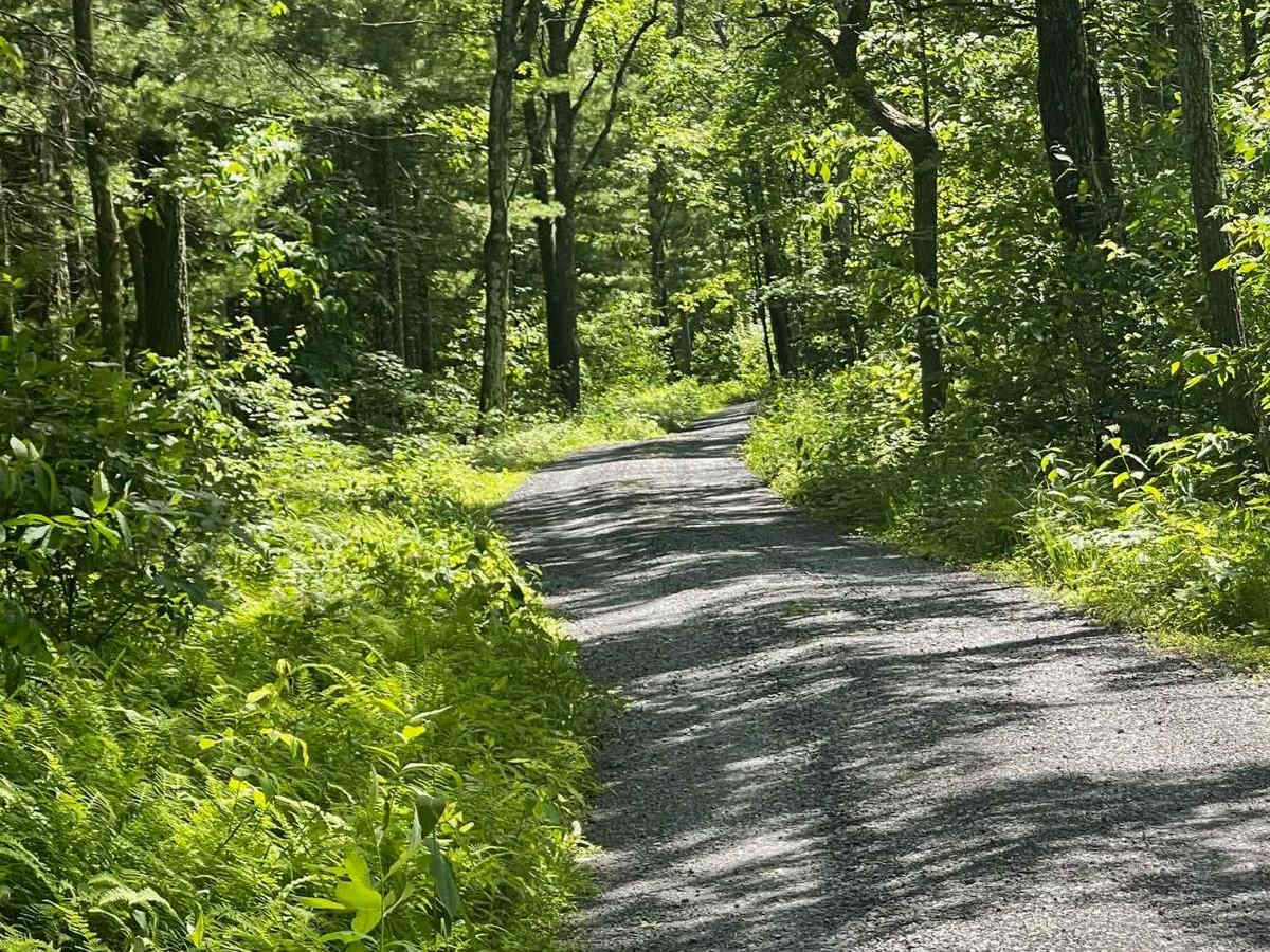 Robbins Road photo 3