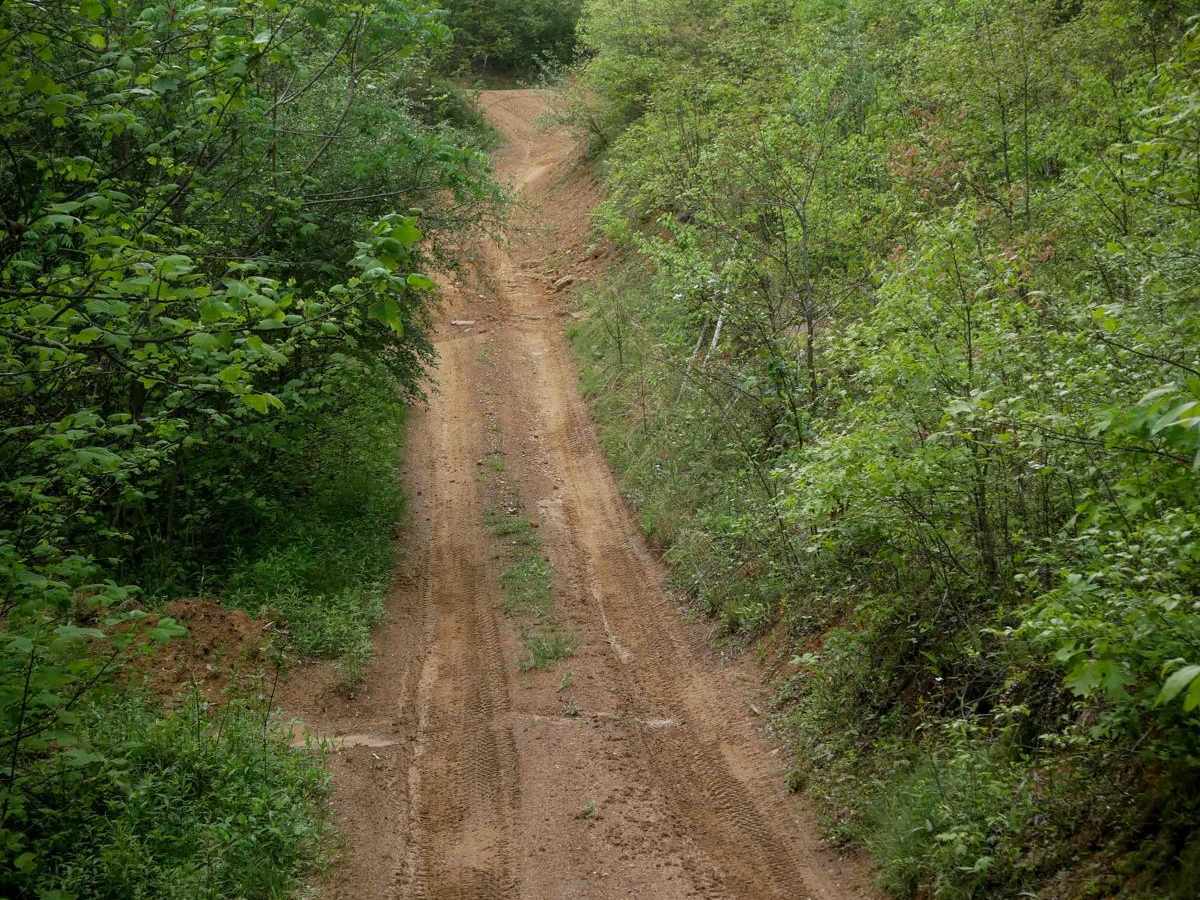 OP 88 trail photo
