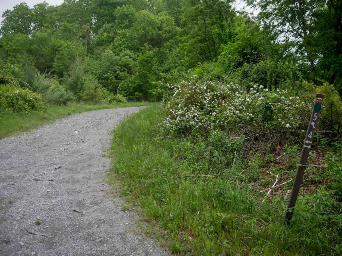 J5 trail photo