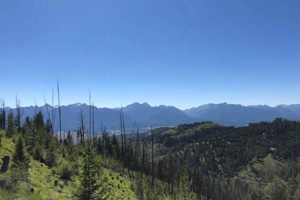 Deer Mountain
