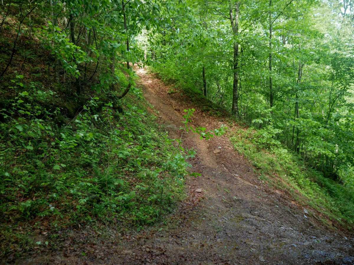 CC88 trail photo