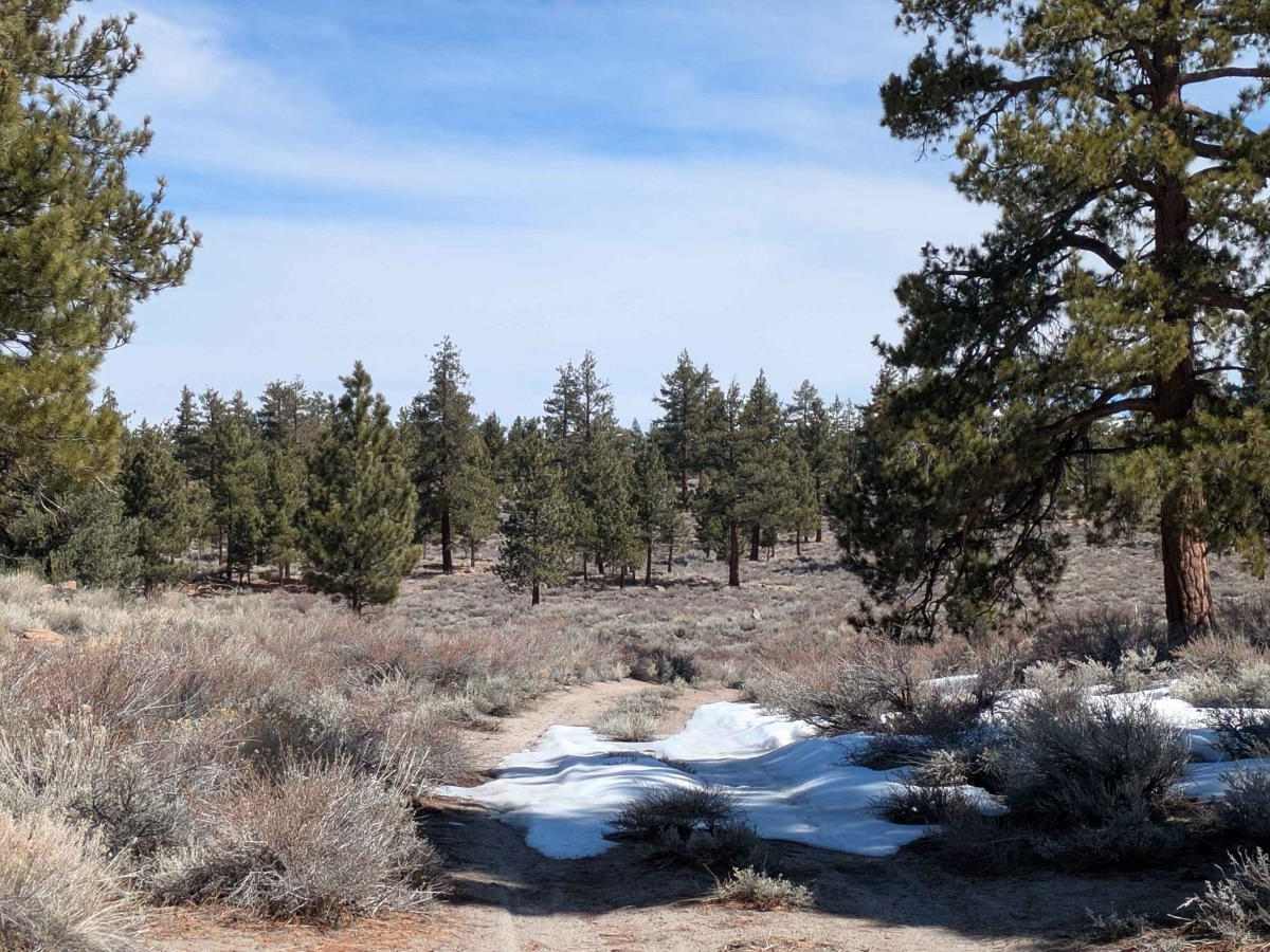 Round Mountain Cutoff - FS 4S67 photo 6
