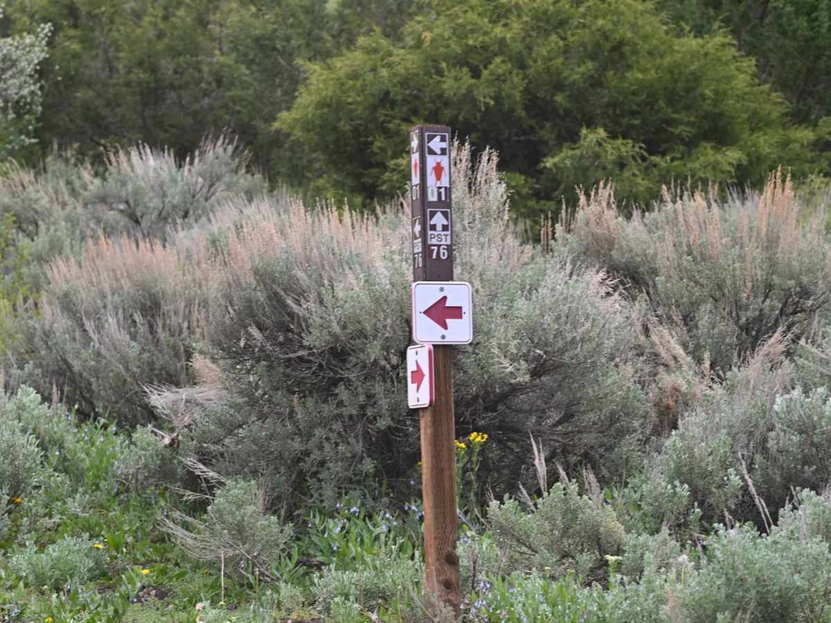 Cove Fort-Dry Creek/PST76 photo 6