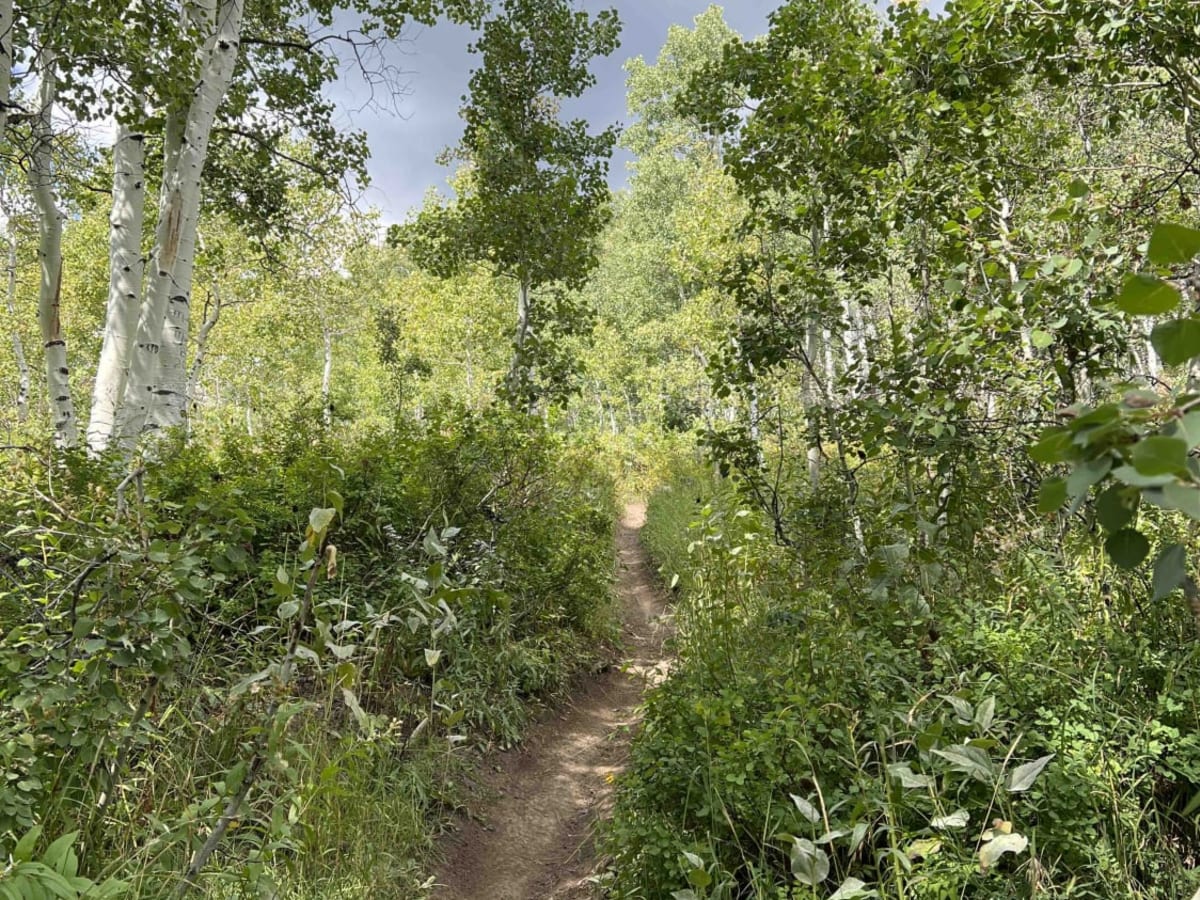 Holman Ridge-Cabin Flat (2172) photo 3