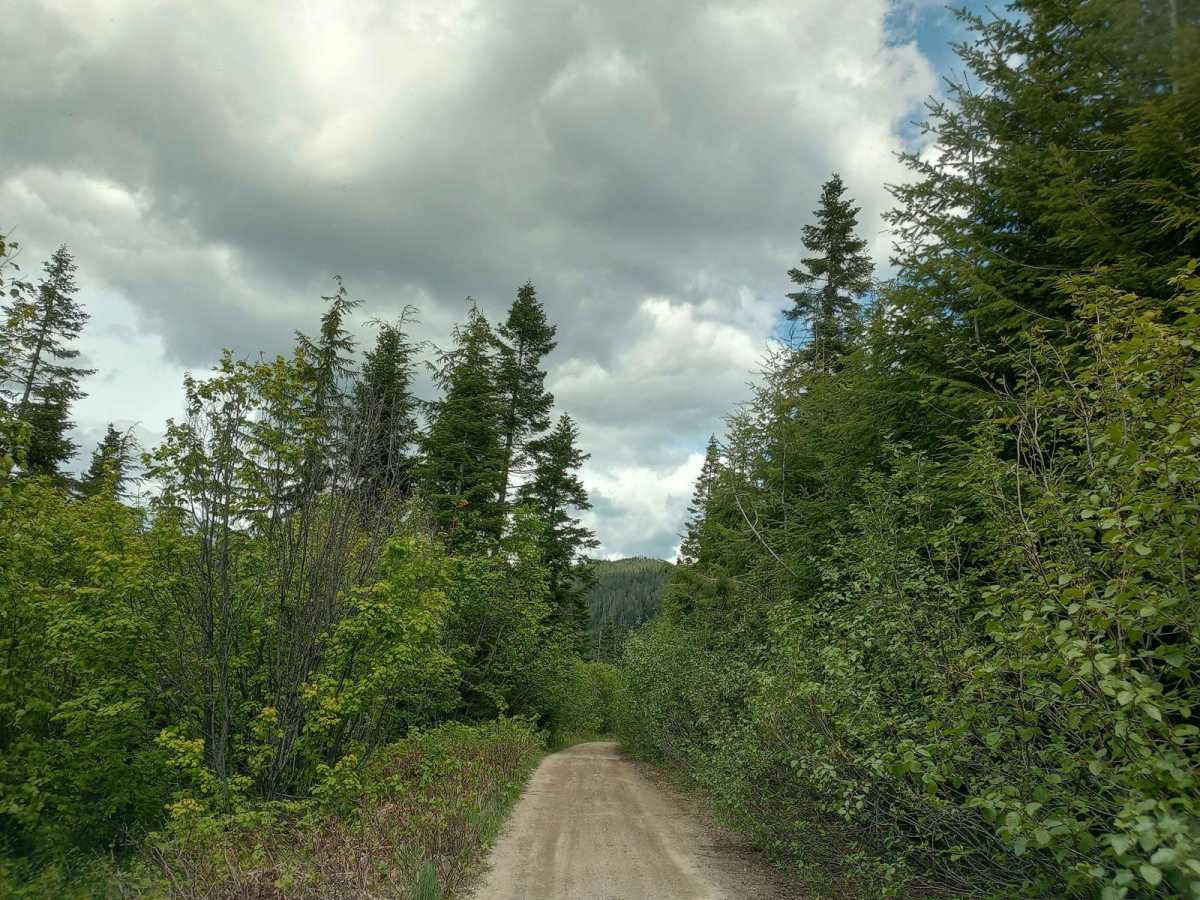 Round Top Mountain Loop photo 3