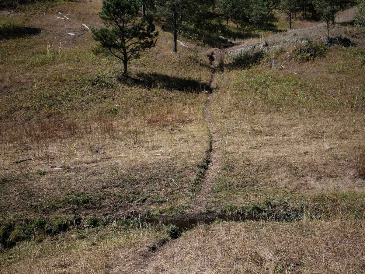 Victoria 12 trail photo
