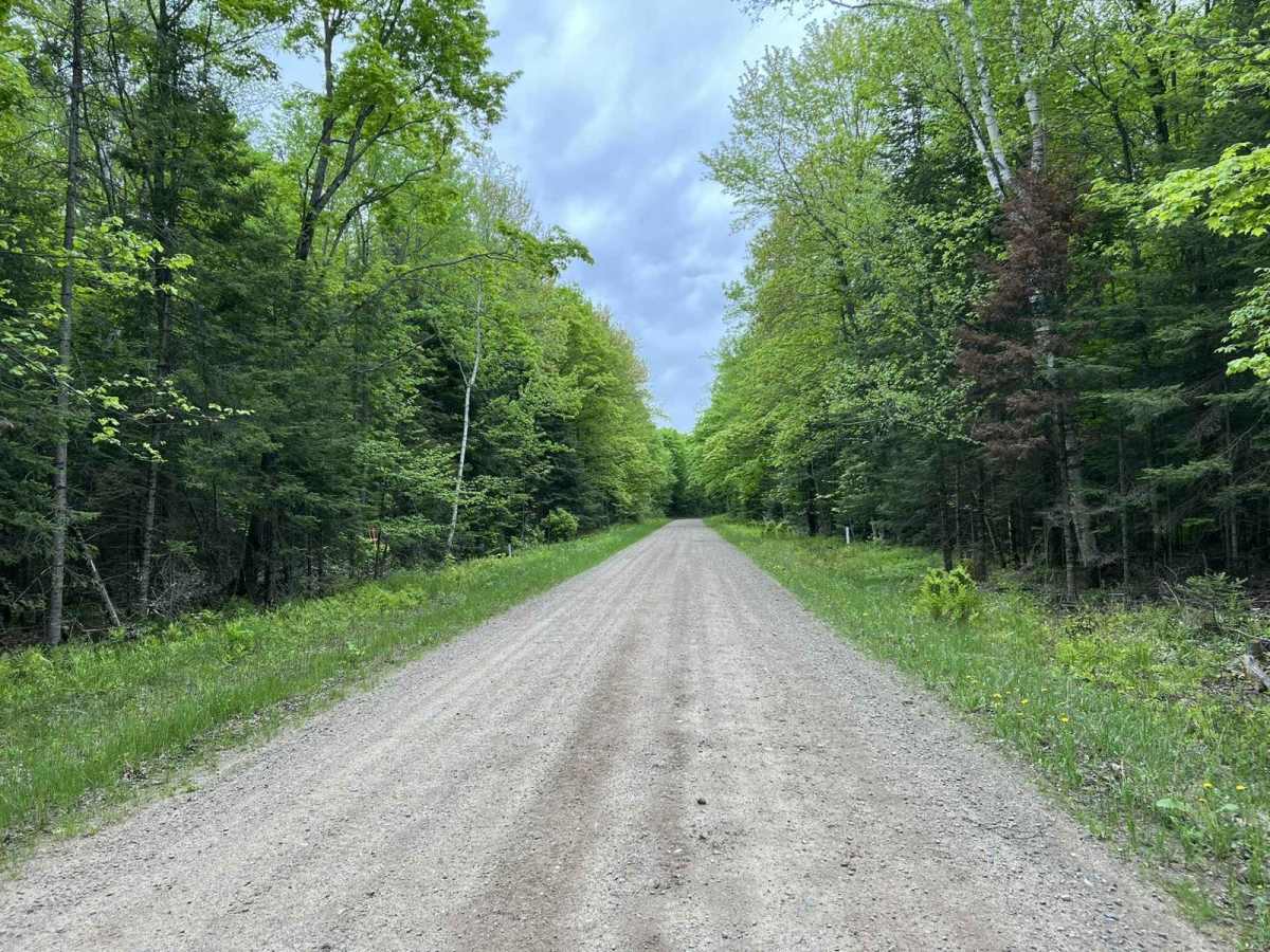 Pine River FR 2182 photo 3