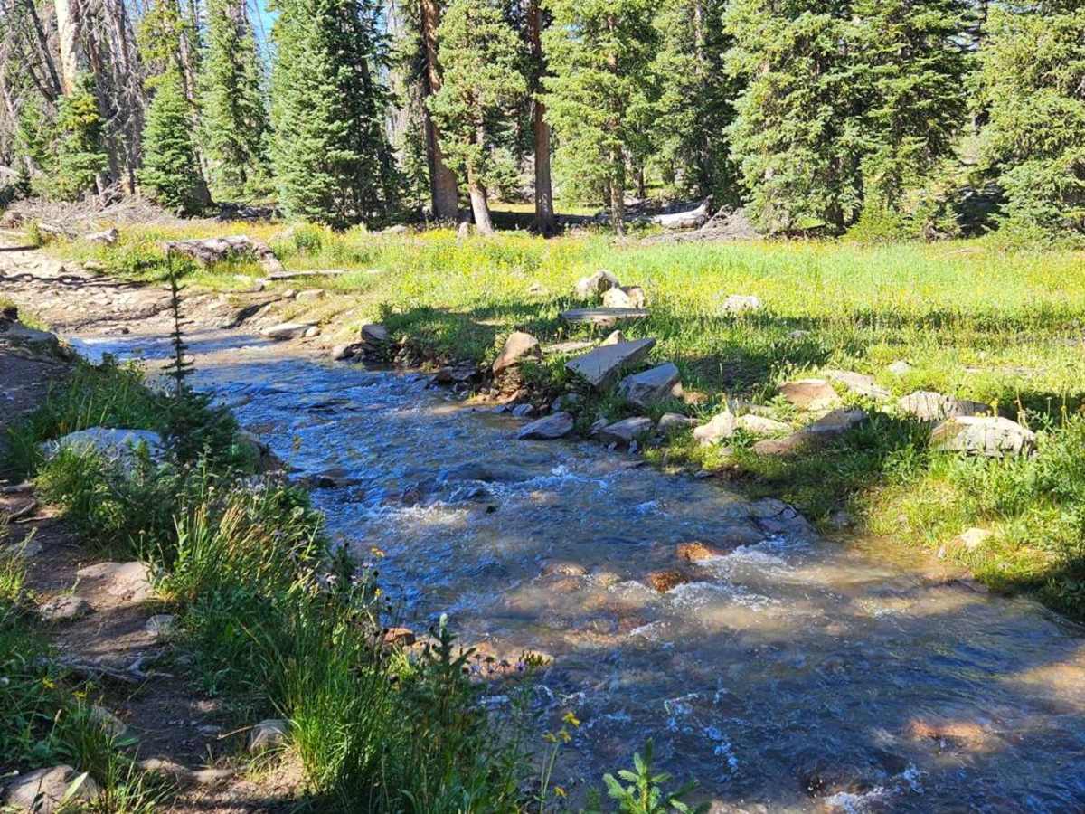 Cascade North Twin trail photo