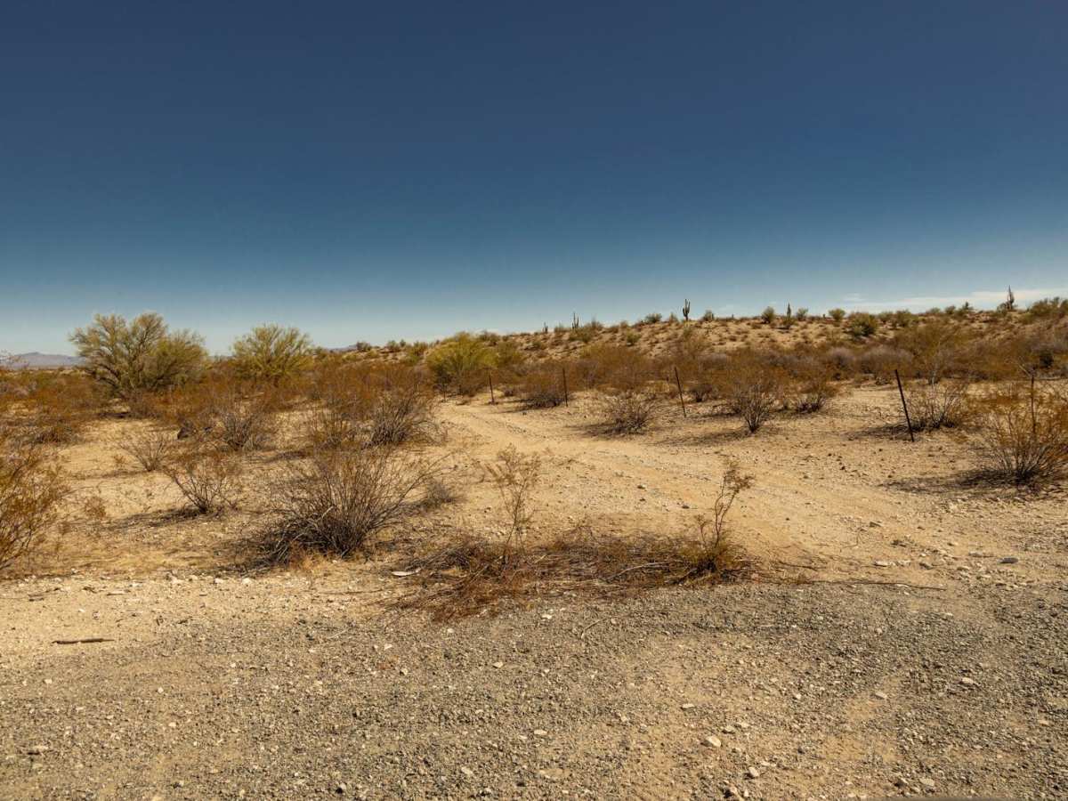 Fenceline Runout trail photo