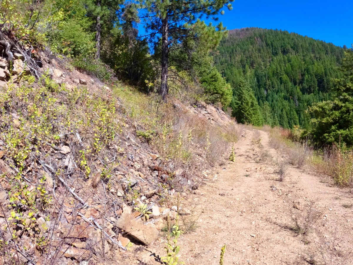 Deep Creek Road Spur Loop photo 2