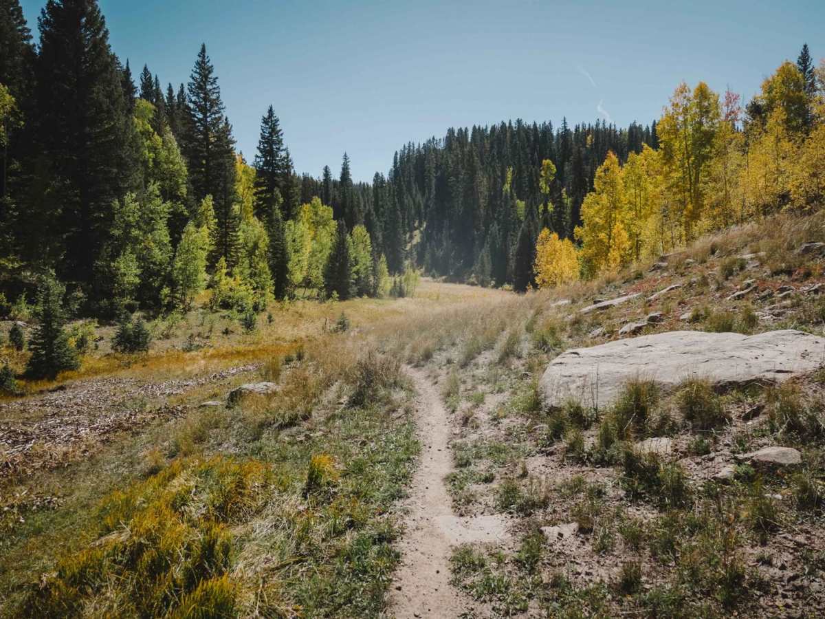 Little Red Trail trail photo