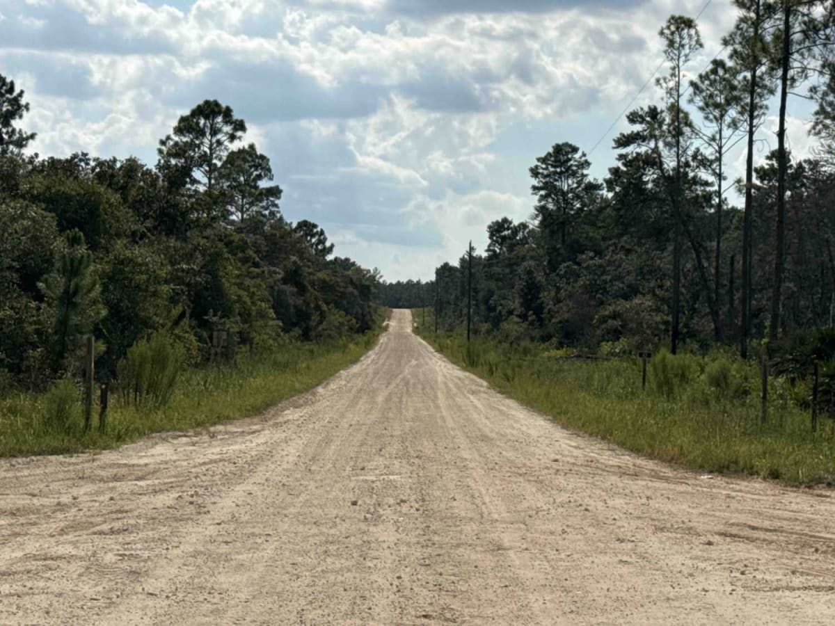 Volusia Trail - ONF 22 photo 4