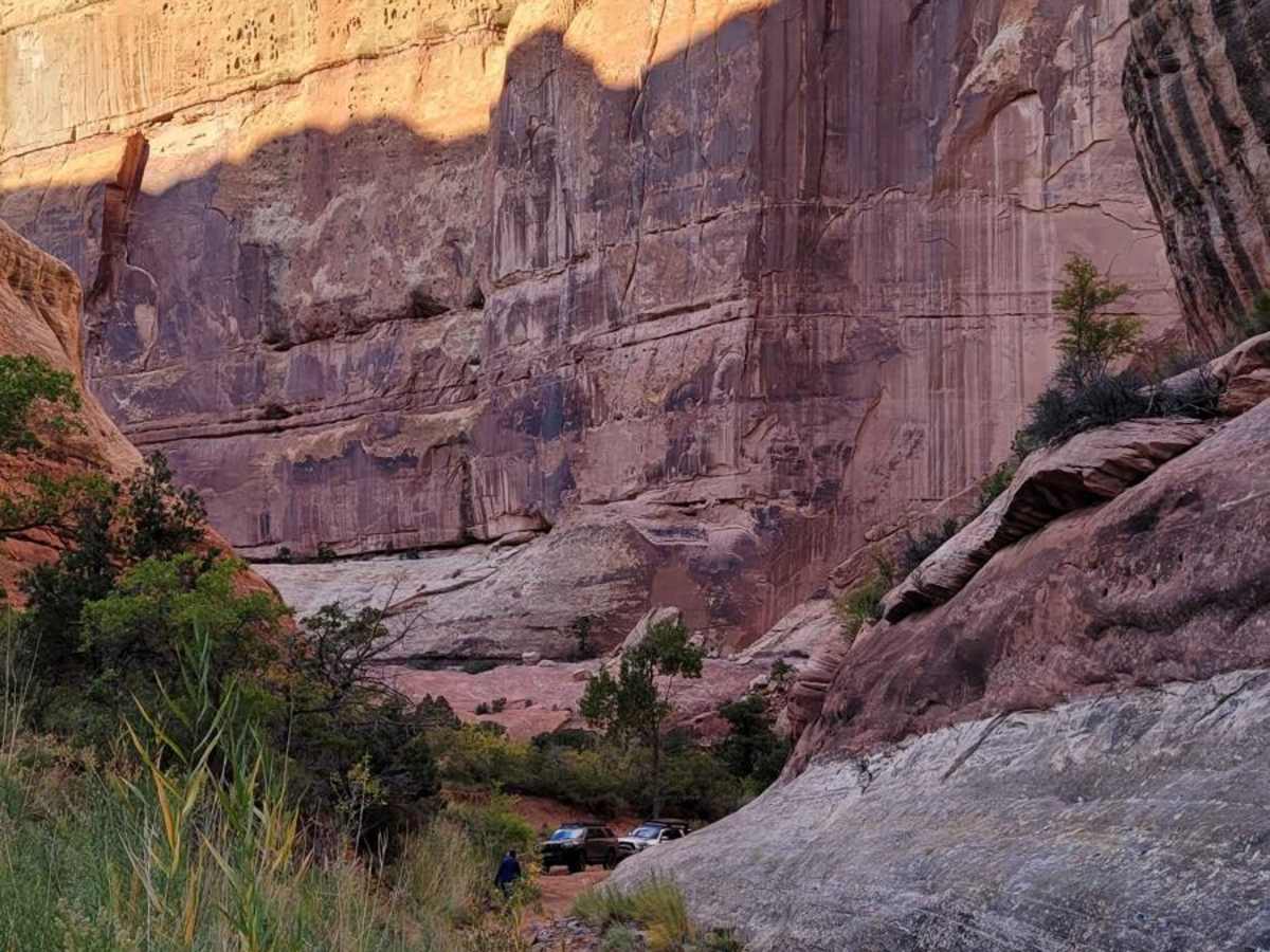 West Fork Road trail photo