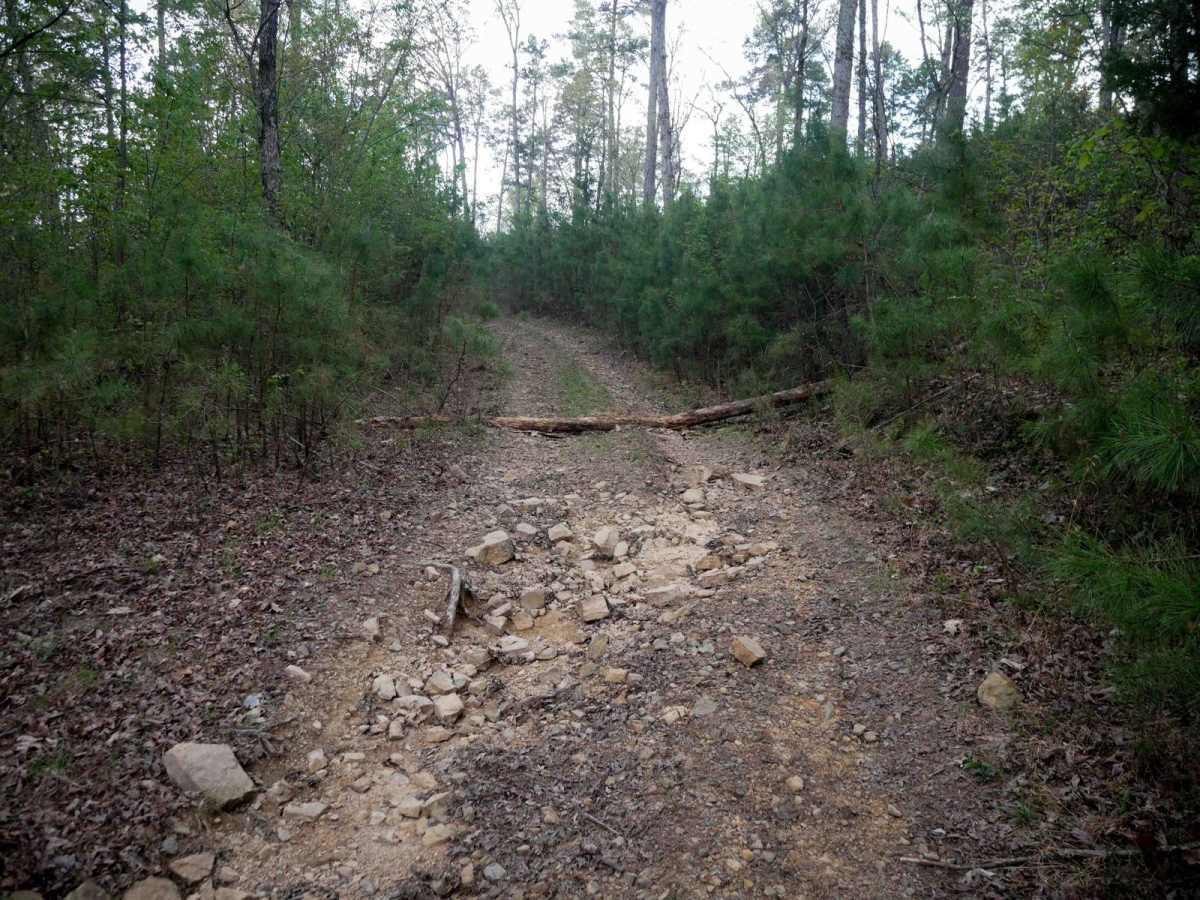 High Mountain Loop B photo 4