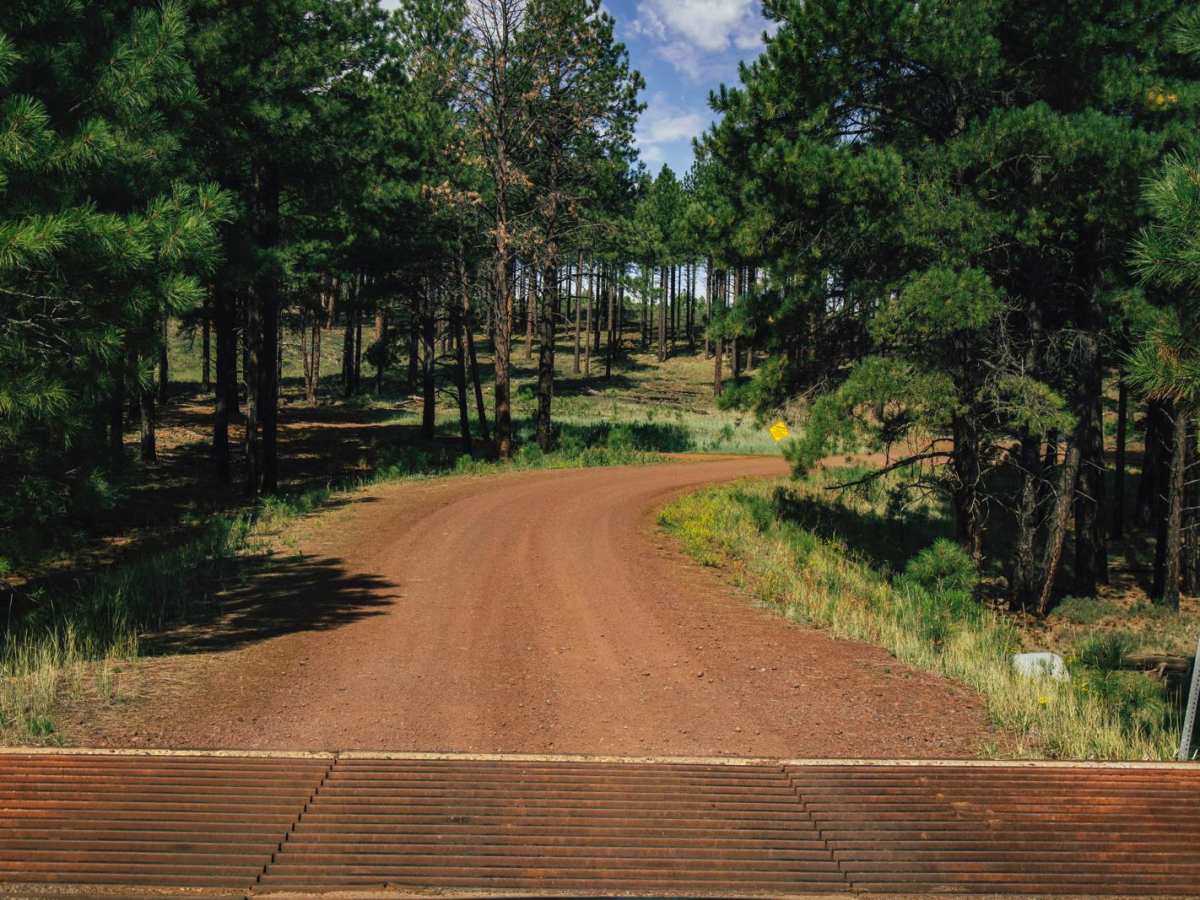 FS191c trail photo