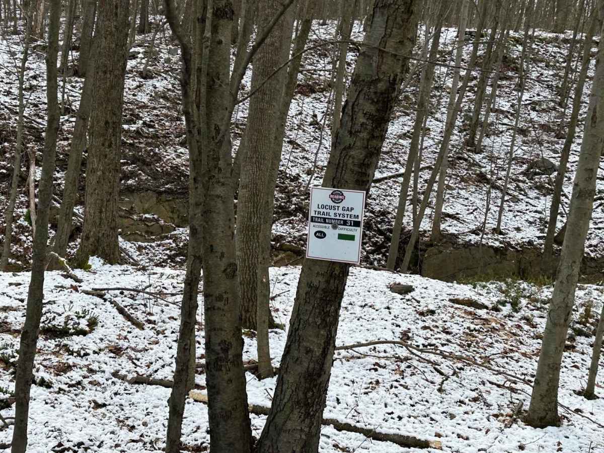 Locust Gap 31 photo 5