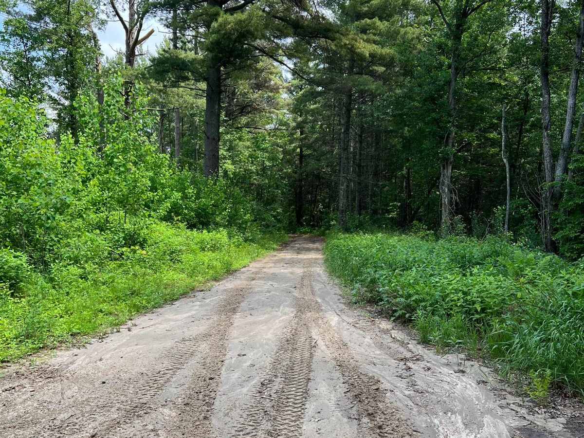 South Round River Drive Cut Through trail photo