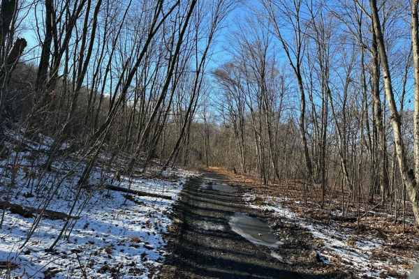 Locust Gap 68