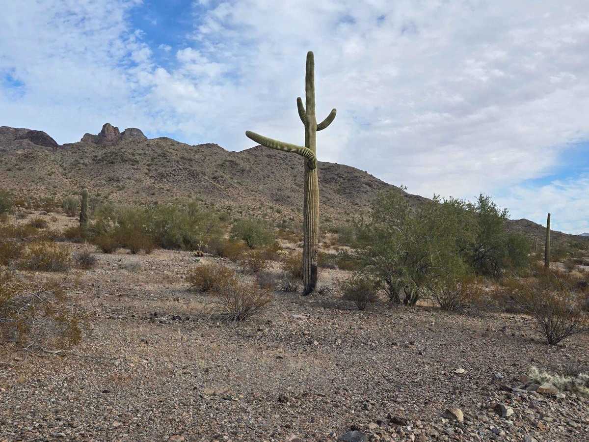 Round the Mountain Trail photo 4