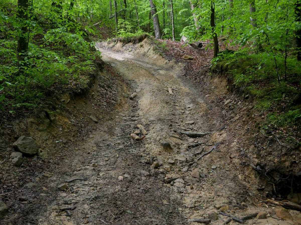 IB 77 trail photo