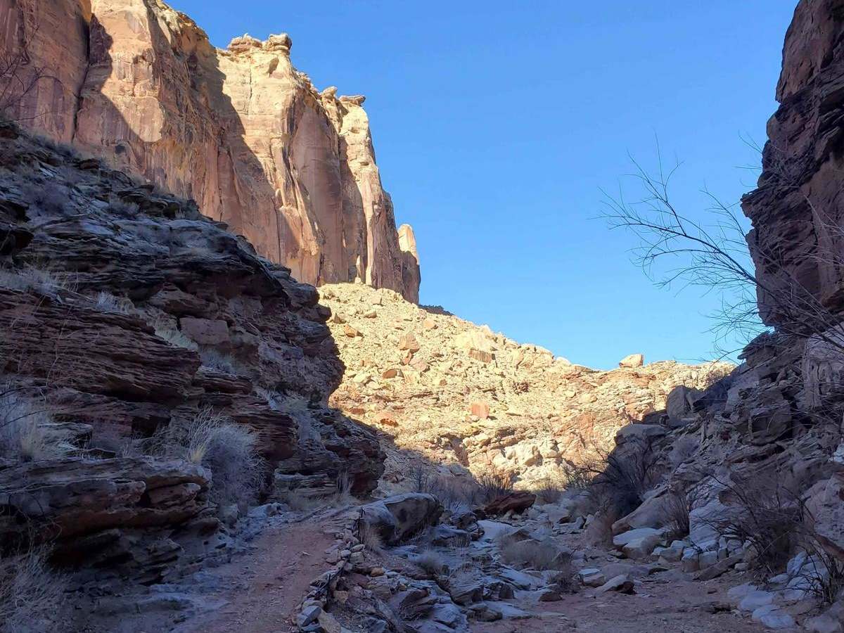 Behind the Reef 50-Inch Trail photo 2