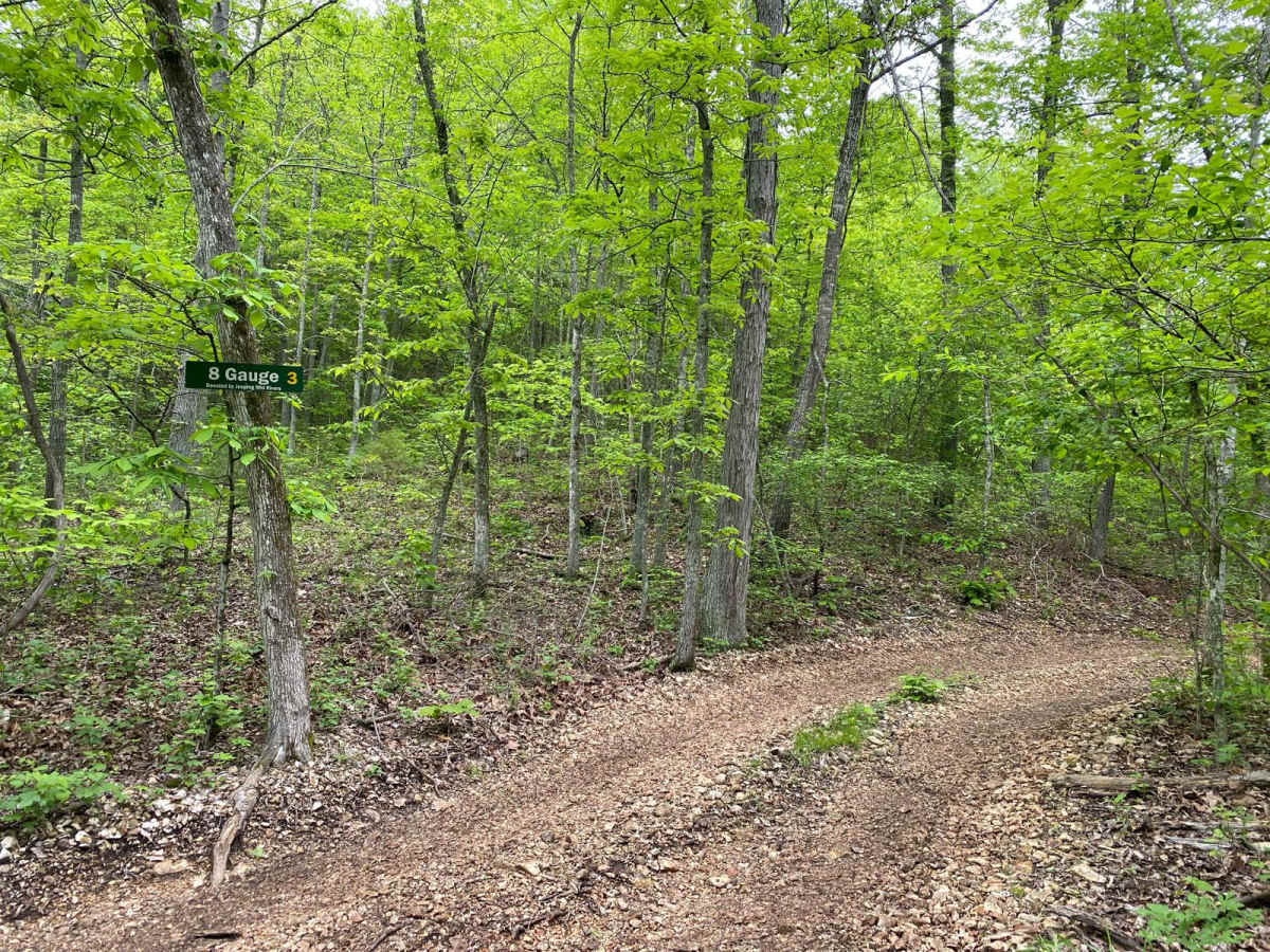 8 Gauge trail photo