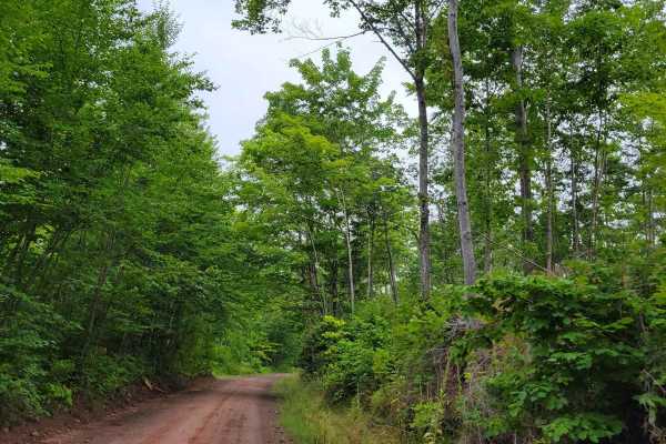 Keweenaw State Trail Segment 2